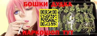 твердый Заводоуковск