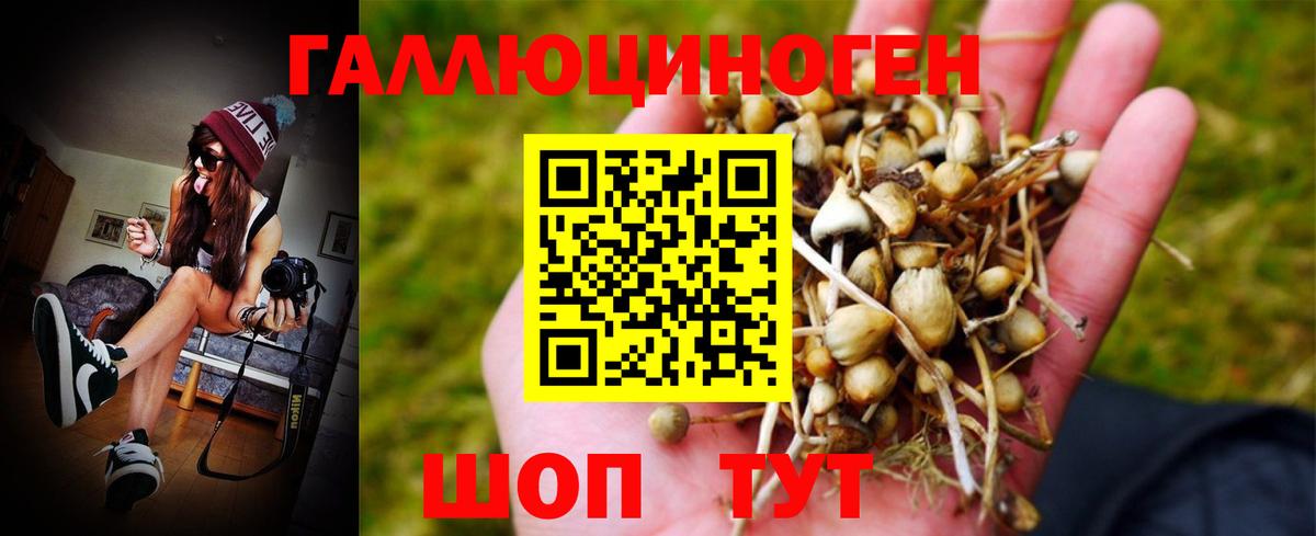 Галлюциногенные грибы Magic Shrooms Ливны